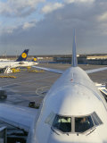 Buy Aircraft on the Ground, Frankfurt Rhein-Main Airport, Frankfurt, Germany at AllPosters.com