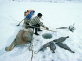 Buy Inuit Man Fishing for Halibut, Eastern Area, Greenland, Polar Regions at AllPosters.com