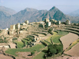 Buy Terraced Fields Near Menacha, North Yemen, Yemen, Middle East at AllPosters.com