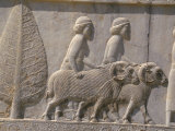 Carved Reliefs of Rams from Asia Minor on the Apadana Palace Staircase, Persepolis, Middle East