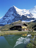 Buy The Eiger, Kleine Scheidegg, Bernese Oberland, Swiss Alps, Switzerland at AllPosters.com
