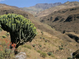 Buy Mersheha River Valley, Simien Mountains National Park, Ethiopia, Africa at AllPosters.com