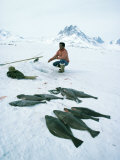 Buy Inuit Man Fishing for Halibut, Greenland, Polar Regions at AllPosters.com