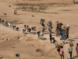 Women on Their Way to Washplace in the River Niger, Mali, Africa