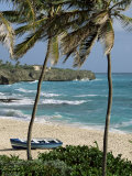 Buy Sam Lords Castle, Palms and Beach, Barbados, West Indies, Caribbean, Central America at AllPosters.com