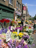 Buy Sunday Flower Market, Columbia Road, London, England, United Kingdom at AllPosters.com