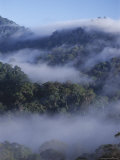 Buy Dawn Mists in Virgin Dipterocarp Rainforest, Tallest in the World, Danum Valley, Island of Borneo at AllPosters.com