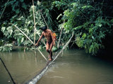 Buy Yanomami Man Carrying Peach Palm Fruit Crossing a River, Brazil, South America at AllPosters.com