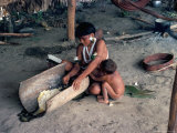 Buy Yanomami Woman Preparing Manioc, Brazil, South America at AllPosters.com