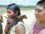 Buy Gorotire Indian Girl with Pet Coati, Xingu, Brazil, South America at AllPosters.com