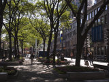 Quincy Market, Boston, Massachusetts, New England, USA