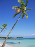 Punta Cana, Dominican Republic, West Indies, Central America