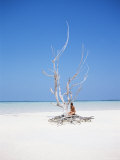 Buy Harbour Island, Bahamas, West Indies, Central America at AllPosters.com