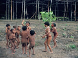 Buy Yanomami Children, Brazil, South America at AllPosters.com