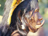 Buy Portrait of a Suya Indian with Lip Plate, Brazil, South America at AllPosters.com