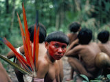 Yanomami Man Made up for the Feast, Brazil, South America