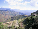 Buy Terraces on Slopes of Mountain Interior at 1800M Altitude, Bois d'Avril, Haiti, West Indies at AllPosters.com