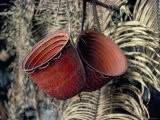 Buy Baskets, Yanomami Indians, Brazil, South America at AllPosters.com