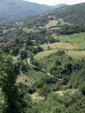 Buy Colli Bolognesi, Emilia Romagna, Italy at AllPosters.com