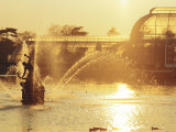 Buy Palm House and Fountains at the Royal Botanic Gardens, Kew, London, England, UK at AllPosters.com