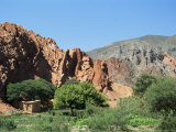 Buy Irrigated Vegetable Garden in the Desert Hills, Near Purmamarca, Jujuy, Argentina, South America at AllPosters.com