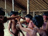 Buy Yanomami Drinking Plantain Soup at Feast, Brazil, South America at AllPosters.com