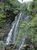 Buy Beauchamp Falls, Blue Mountains National Park, Unesco World Heritage Site, New South Wales (N.S.W.) at AllPosters.com