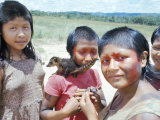 Buy Gorotire Indian Girls with Coati, Brazil, South America at AllPosters.com