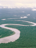 Buy Aerial View of River and Forest, West Irian (Irian Jaya). Indonesia, Southeast Asia at AllPosters.com