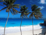 Buy Bottom Bay, Barbados, West Indies, Caribbean, Central America at AllPosters.com