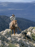 Buy Man on Horse with Dogs, 'The Man from Snowy River', Victoria, Australia at AllPosters.com