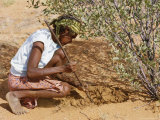 Buy Aborigine Woman Digging for Wichetty Grubs, Northern Territory, Australia at AllPosters.com