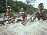 Three Aborigines Playing Musical Instruments, Northern Territory, Australia