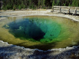 Morning Glory Spring, Yellowstone National Park, Unesco World Heritage Site, USA