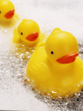 Buy Rubber Ducks in Bath at AllPosters.com