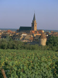 Bergheim and Vineyards, Alsace, France