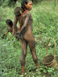 Buy Xingu, Brazil, South America at AllPosters.com