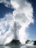 Buy Castle Geyser, Upper Geyser Basin, Yellowstone National Park, Wyoming at AllPosters.com