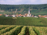 Chamery, Montagne De Reims, Champagne, France