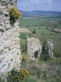 Buy View from the Keep, with Wallflowers, Wigmore Castle, Herefordshire at AllPosters.com