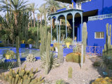 Buy Jardin Majorelle, Marrakech (Marrakesh), Morocco, North Africa, Africa at AllPosters.com