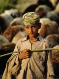 Buy Portrait of a Young Shepherd Boy, Northern Territory, Pakistan at AllPosters.com