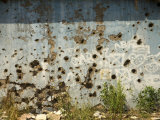 Buy War Damaged Building, Sarajevo, Bosnia, Bosnia-Herzegovina at AllPosters.com