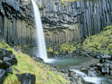Buy Svartifoss Waterfall, Skaftafell National Park, Iceland, Polar Regions at AllPosters.com
