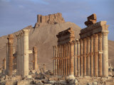 Buy The Great Colonnade, with Arab Castle on Hill in Background, Palmyra, Syria at AllPosters.com