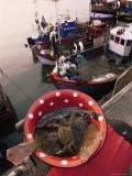 Buy Fish and Fishing Boats, France at AllPosters.com