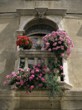 Floral Balconies, Rovinj, Croatia