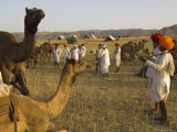Men in Bright Turbans at Huge Camel and Cattle Fair for Semi Nomadic Tribes, Pushkar, India
