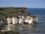 Flamborough Head, East Yorkshire, Yorkshire, England, United Kingdom