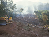 Buy Clearing Forest for Building of the Forest Edge Highway in High Jungle Region of Tarapoto, Peru at AllPosters.com